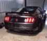    Mustang Shelby,     - 